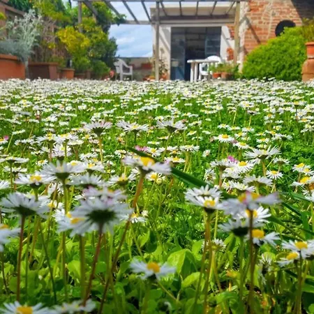 Bellavista La Tua Romantica Sul Trasimeno *