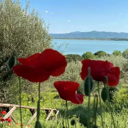 Bellavista La Tua Romantica Sul Trasimeno Castiglione del Lago