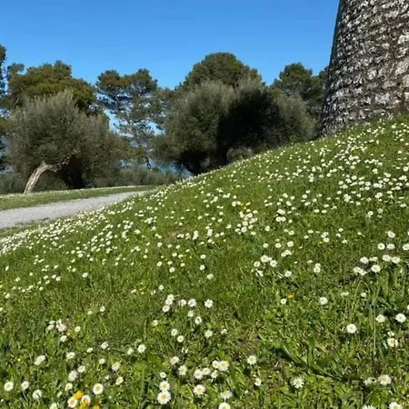 Bellavista La Tua Romantica Sul Trasimeno Appartement