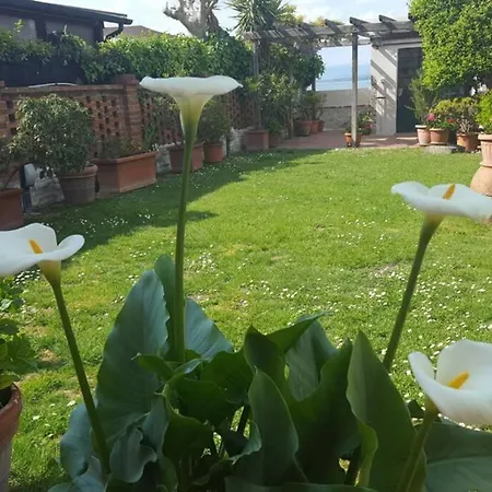 Bellavista La Tua Romantica Sul Trasimeno